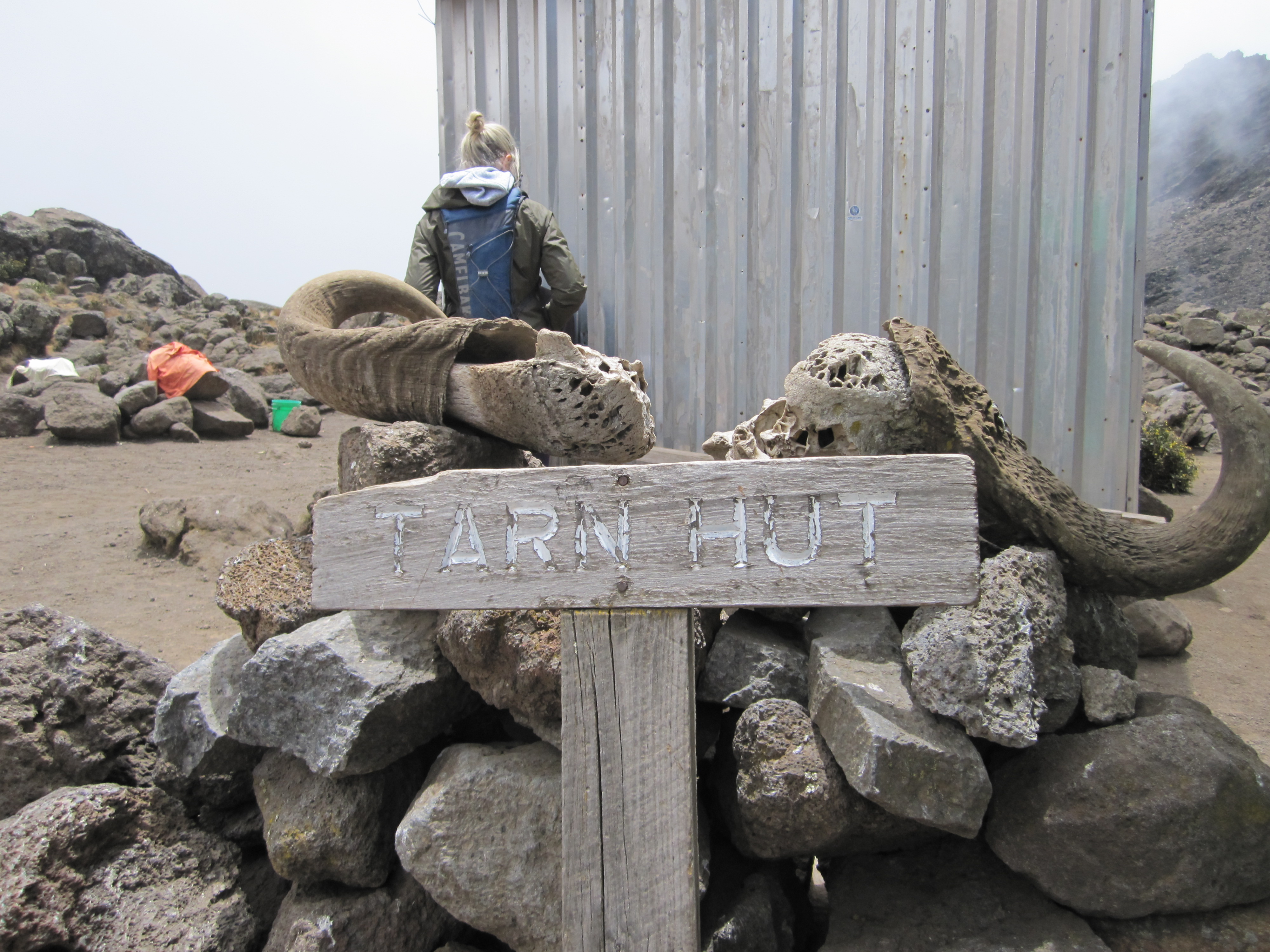 Sign (and bones) at Tarn Hut